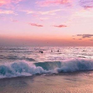 Meet your Posher, Grant